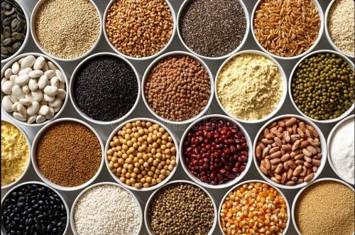 "Grain & Pulses – A Variety of Freshly Harvested Grains and Pulses"